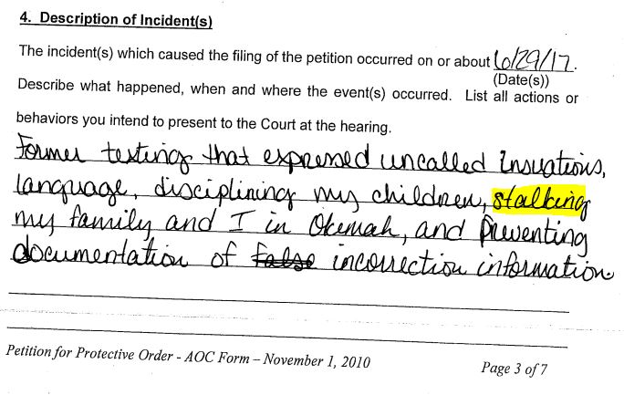 Excerpt from Original Protective Order Petition